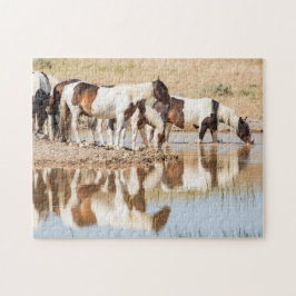 Mirage of Hope Puzzle