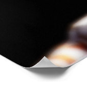 Mirage White Tiger Art Poster (Ecke)