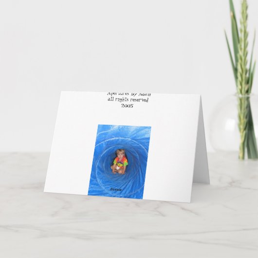 Miranda Ankündigung (Rückseite)