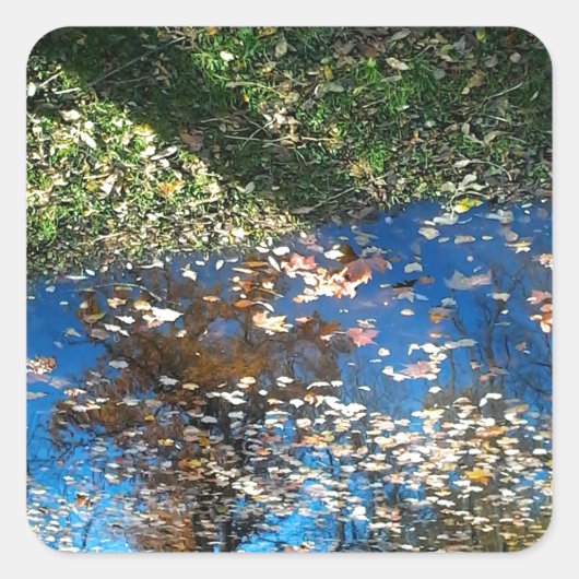 Miroir Mirror Erntedank Sticker (Vorderseite)