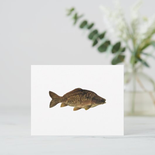 Mirror Carp Postkarte (Stehend Vorderseite)