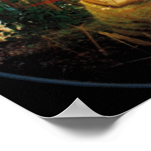 Mirror Cat Poster (Ecke)