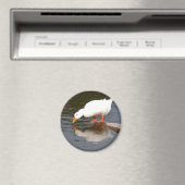 Mirror Magnet (In Situ (Geschirrspüler))