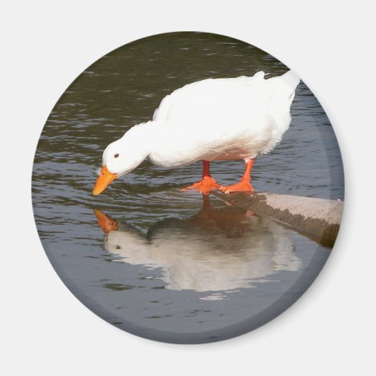 Mirror Magnet (Vorne)