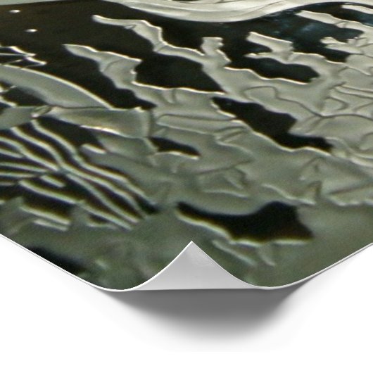 Mirror Mermaid Poster (Ecke)