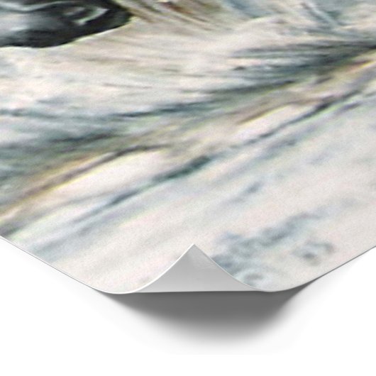 Mirror, Mirror...... Poster (Ecke)