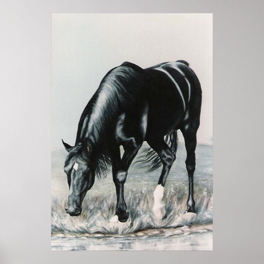 Mirror, Mirror...... Poster (Vorne)