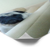 Mirror Mops Poster (Ecke)