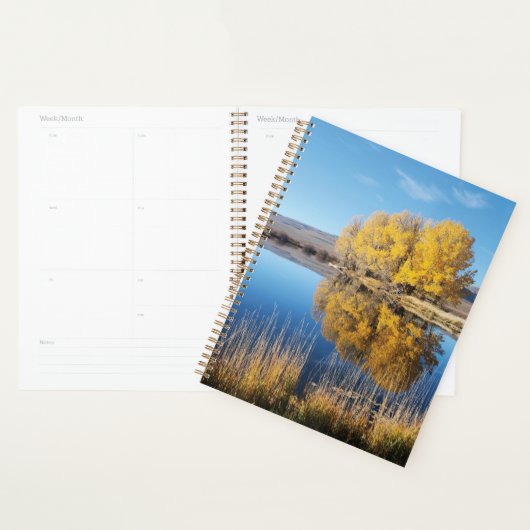 Mirror Pond Planner Planer (Anzeige)