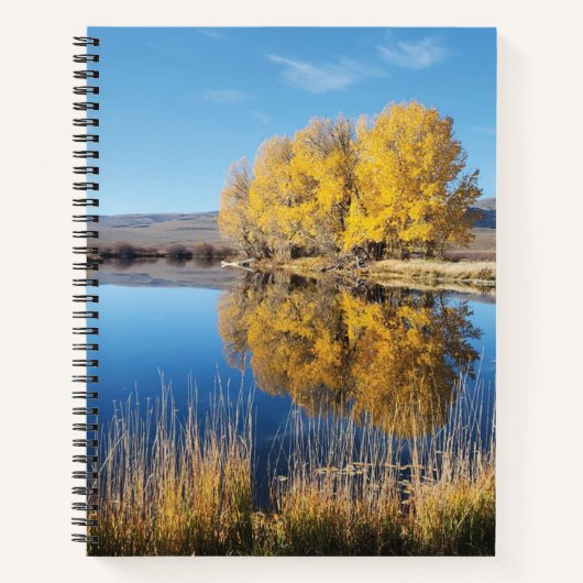 Mirror Pond Spiral Notebook Notizblock (Vorderseite)