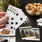 Mirror’s Last Stand Spielkarten (In Situ)