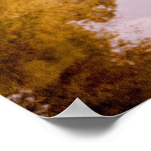 Mirrored Bridge Poster (Ecke)