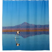 Mirrored Flamingo Duschvorhang (Vorderseite)