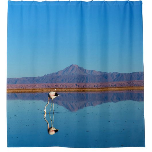 Mirrored Flamingo Duschvorhang (Vorderseite)