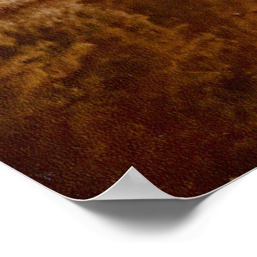 Mirrored Lakeview Poster (Ecke)