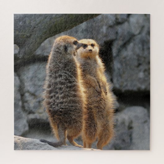 Mirrored Meerkats Puzzle (Vertikal)