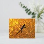 Miscellaneous - Bent-Toed Gecko & Golden Shadow Postkarte (Stehend Vorderseite)