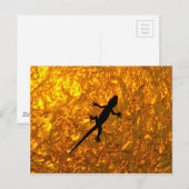 Miscellaneous - Bent-Toed Gecko & Golden Shadow Postkarte (Vorne/Hinten)
