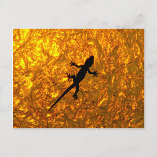 Miscellaneous - Bent-Toed Gecko & Golden Shadow Postkarte