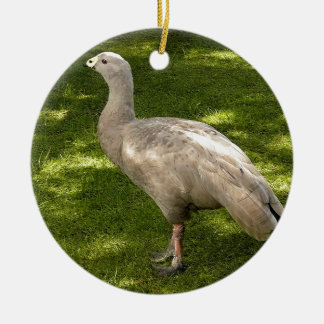 Miscellaneous - Cape Barren Goose Shadows & Light Keramik Ornament