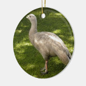 Miscellaneous - Cape Barren Goose Shadows & Light Keramik Ornament (Links)
