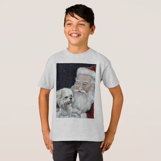 MischBichon Shihtzu u. T-Shirt (Vorne ganz)