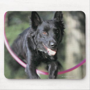 MischBorder-Collie Mousepad