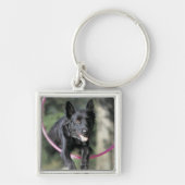 MischBorder-Collie Schlüsselanhänger (Vorne)