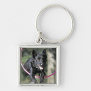 MischBorder-Collie Schlüsselanhänger