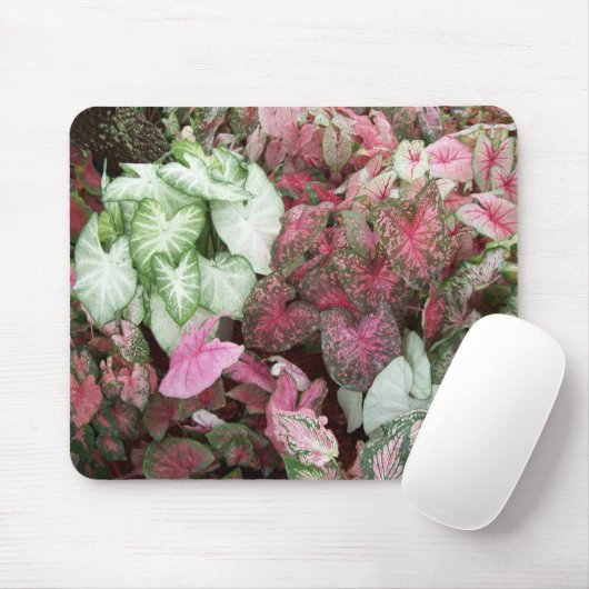 MischCaladiums Mousepad (Mit Mouse)