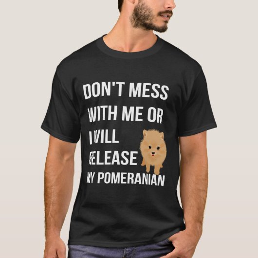 Mische dich nicht mit mir, oder ich werde meinen S T-Shirt (Vorderseite)