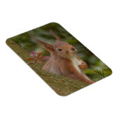 Mischeuvous Red Squirrel Magnet (Rechte Seite)