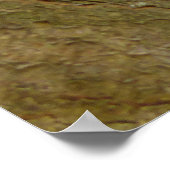 Mischeuvous Red Squirrel Poster (Ecke)