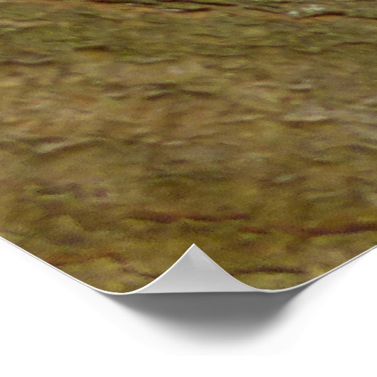 Mischeuvous Red Squirrel Poster (Ecke)