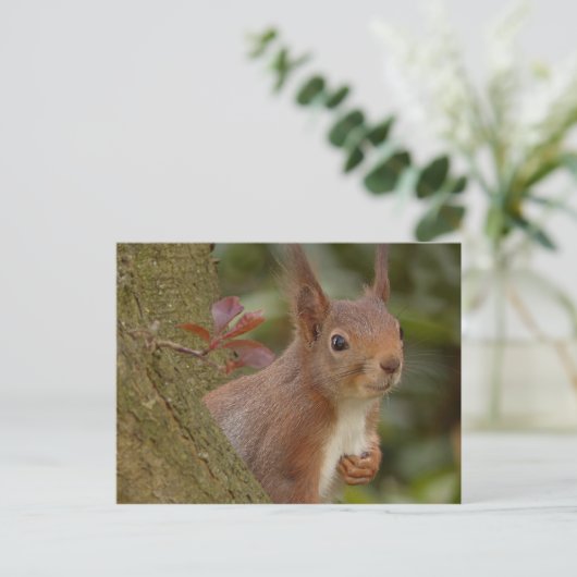 Mischeuvous Red Squirrel Postkarte (Stehend Vorderseite)