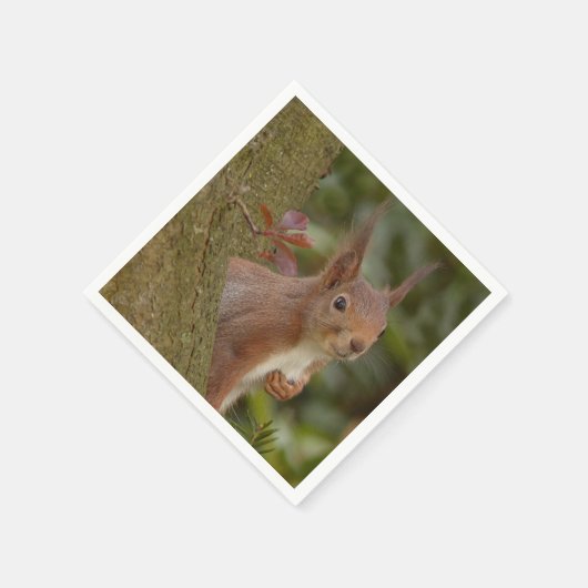 Mischeuvous Red Squirrel Serviette (Ecke)