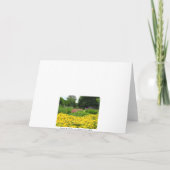 Mischgarten-Blumen Karte (Rückseite)