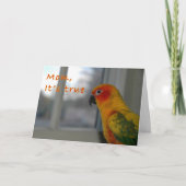 Mischief Karte (Vorderseite)