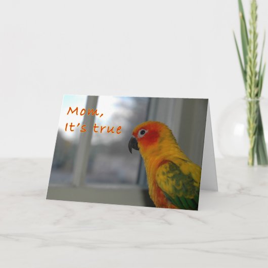 Mischief Karte (Vorderseite)