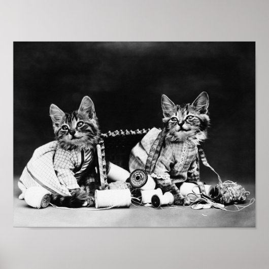 Mischief Makers - Harry Whittier Frees Poster (Vorne)