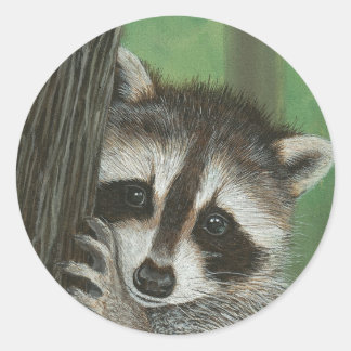 Mischief Raccoon auf einem Baumaufkleber Runder Aufkleber
