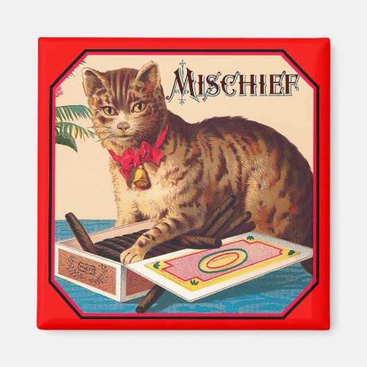 Mischief the Cat Magnet (Vorne)