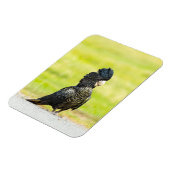 Mischievous Black Cockatoo Portrait Magnet (Linke Seite)