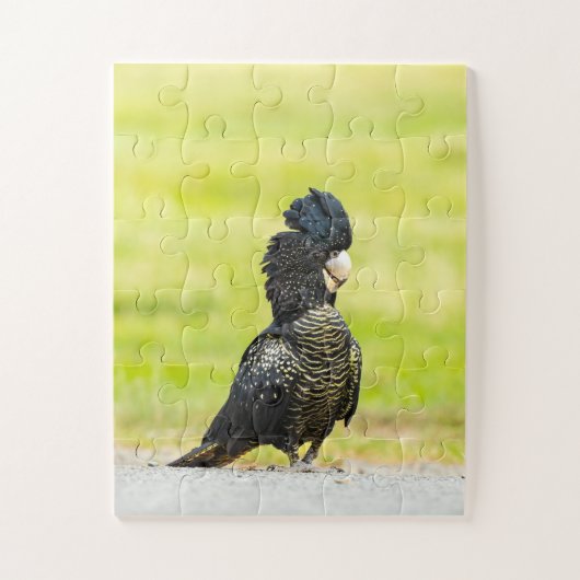 Mischievous Black Cockatoo Portrait Puzzle (Vertikal)