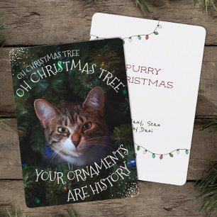 Mischievous Kitty Funny Cat Oh Weihnachtsbaum Feiertagskarte