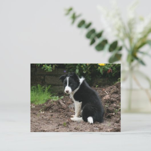 Mischievous Pup Postkarte (Stehend Vorderseite)