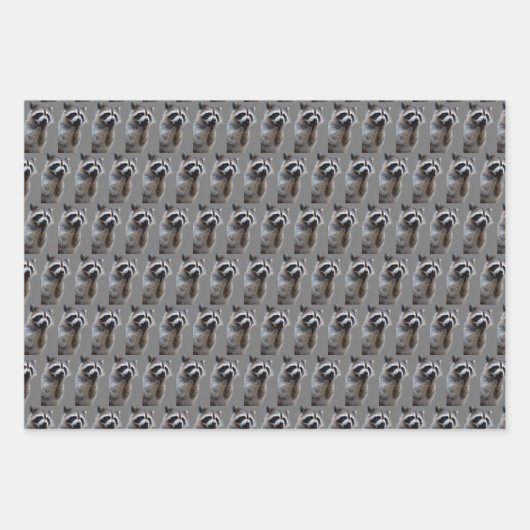 Mischievous Raccoon Geschenkpapier Set (Vorderseite 2)