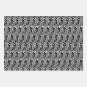 Mischievous Raccoon Geschenkpapier Set
