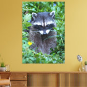 Mischievous Raccoon Leinwanddruck (Insitu (Wohnzimmer))