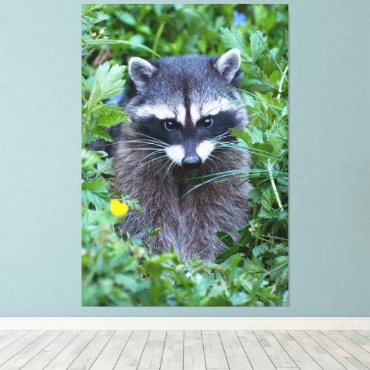 Mischievous Raccoon Leinwanddruck (Insitu (Holzboden))